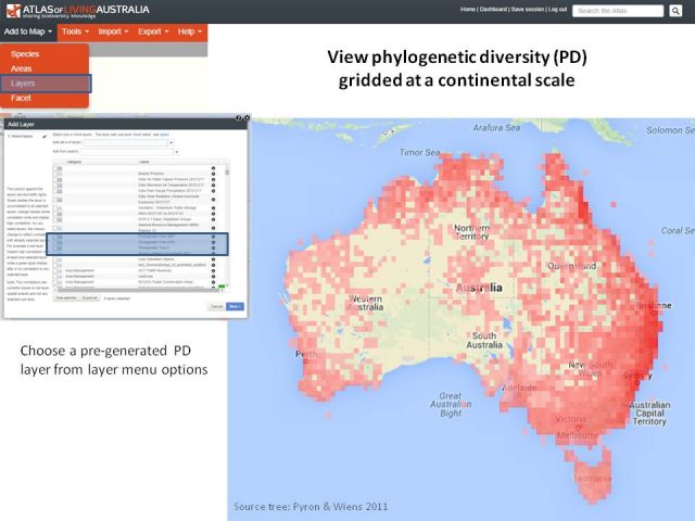 Explore phylogenetic diversity – Atlas of Living Australia