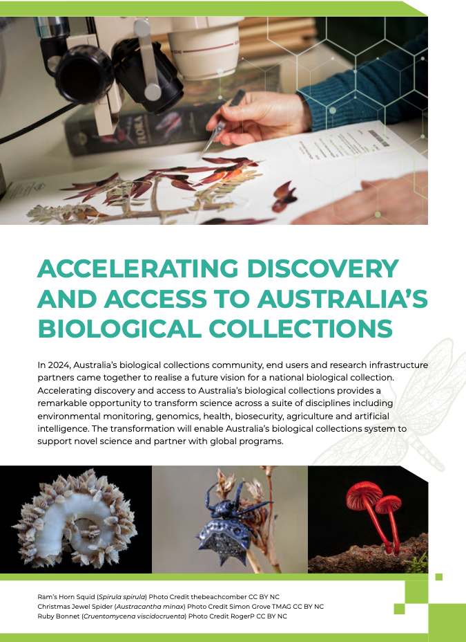 Biological collections flyer