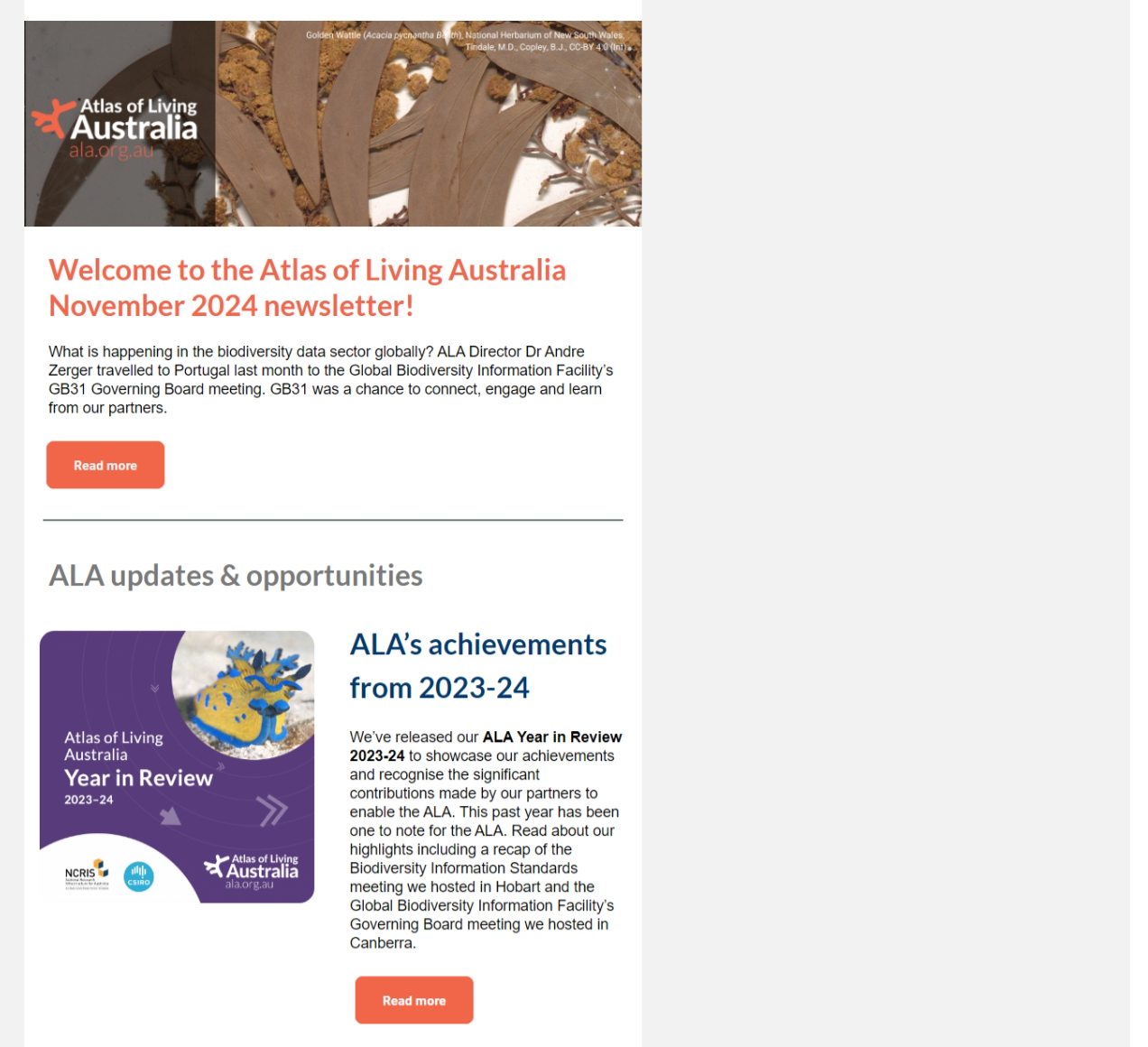 ALA's November 2024 newsletter header banner - it includes the ALA logo and a dried wattle specimen, and a welcome message