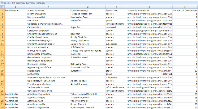 Export Checklist download in Excel